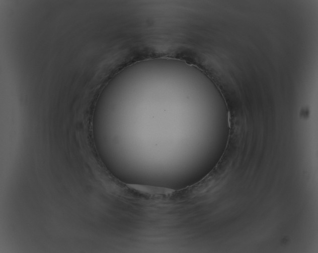 X0000091561249200708311407