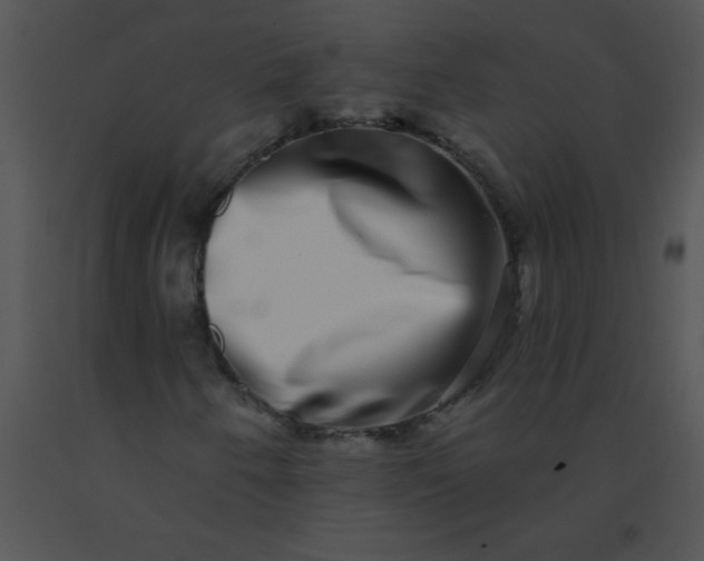 X0000091561250200708311407