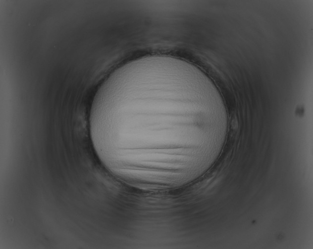 X0000091561252200708311407