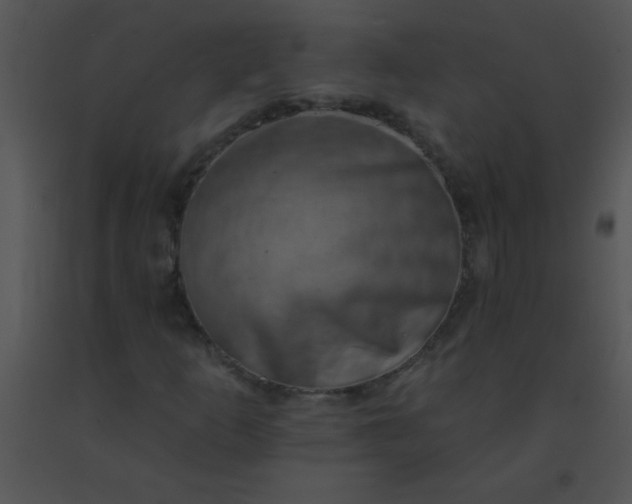 X0000091561253200708311407