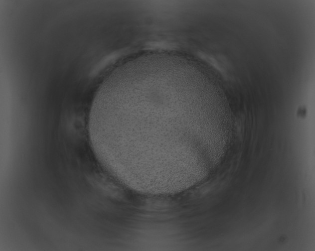 X0000091561254200708311407