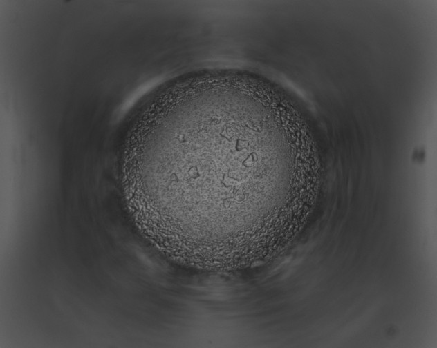 X0000091561255200708311407