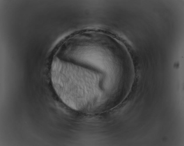 X0000091561256200708311407