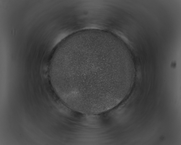 X0000091561258200708311407