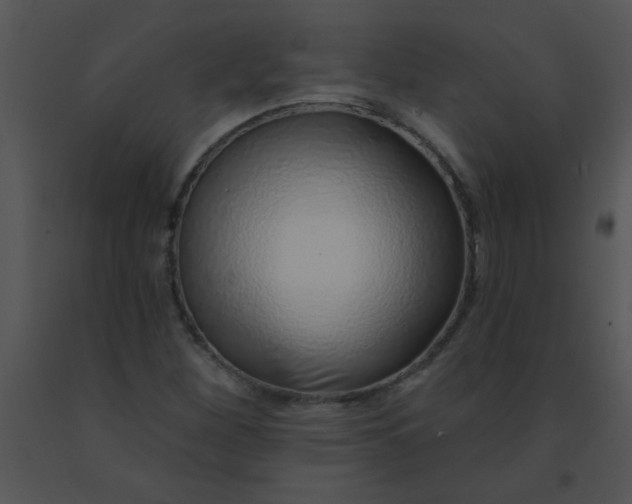 X0000091561260200708311407