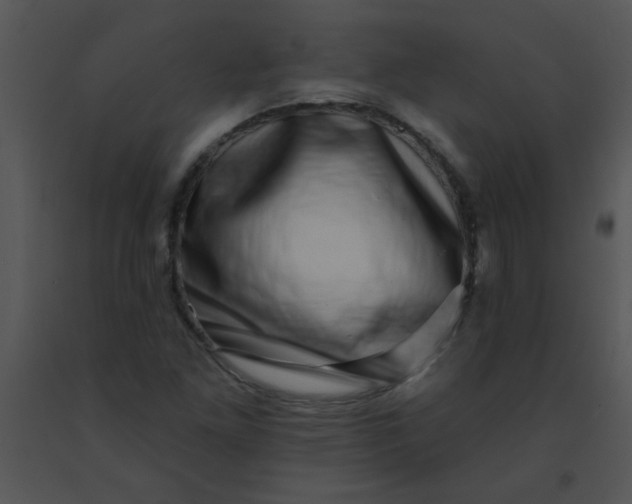 X0000091561261200708311407