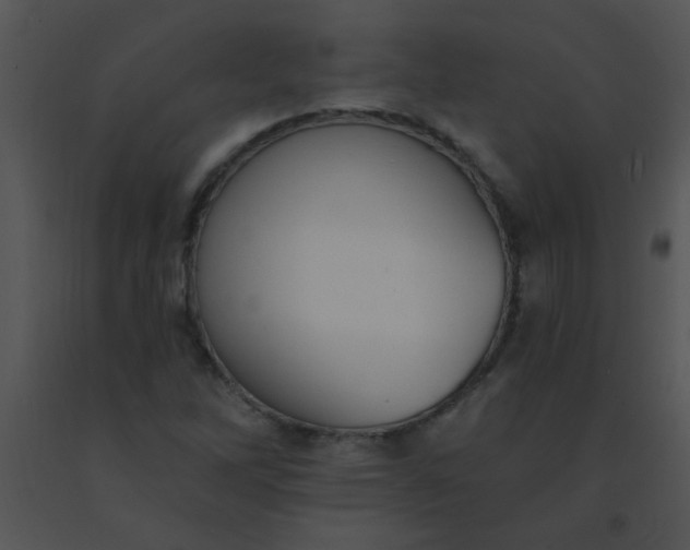 X0000091561262200708311407