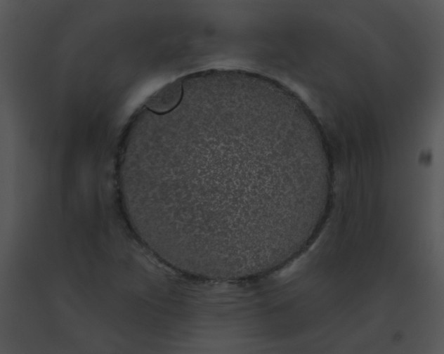 X0000091561263200708311407