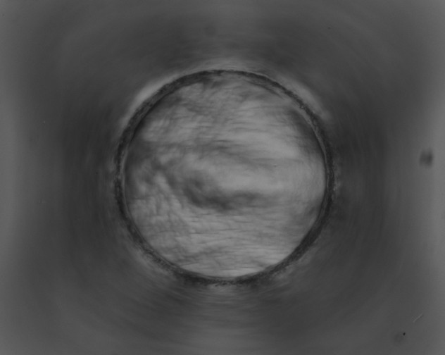 X0000091561264200708311407