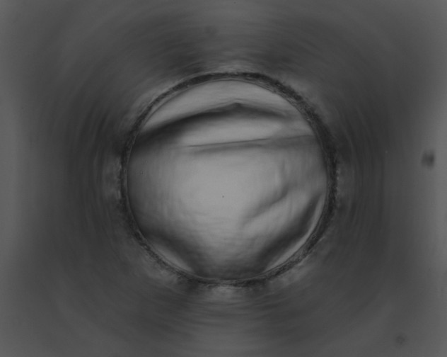 X0000091561265200708311407