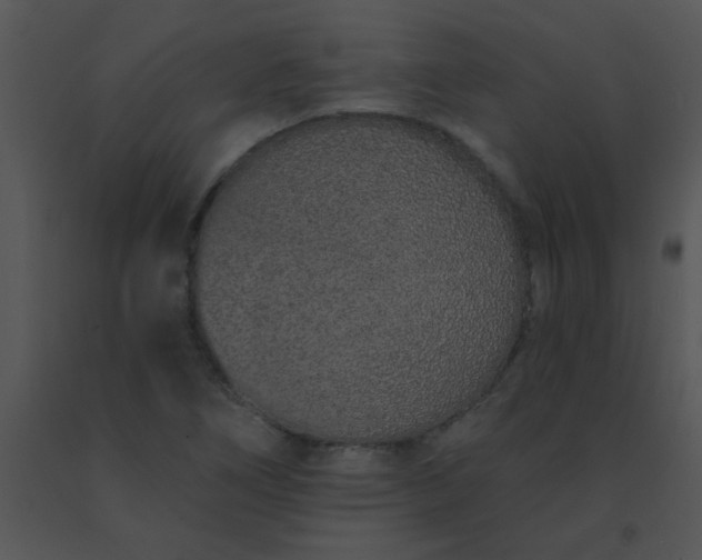 X0000091561266200708311407