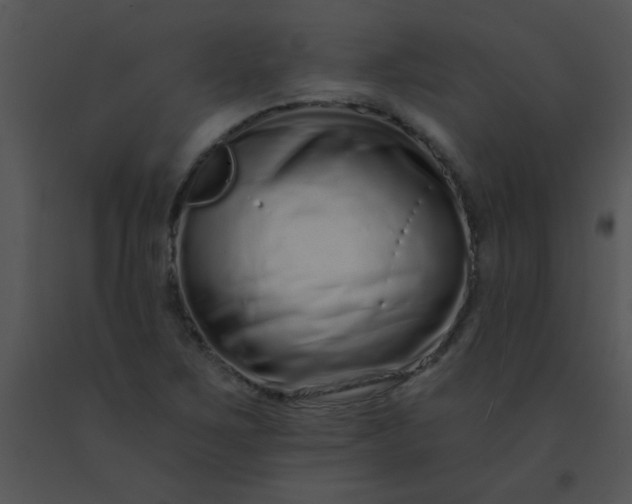 X0000091561267200708311407