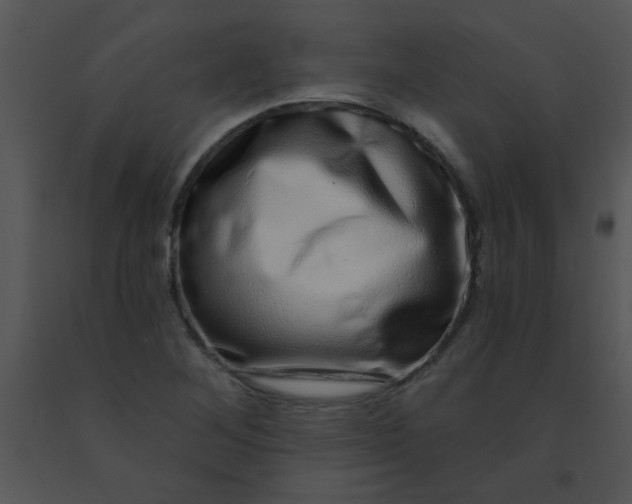 X0000091561268200708311407