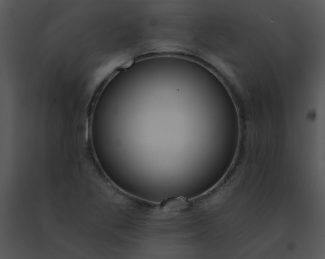 X0000091561269200708311407