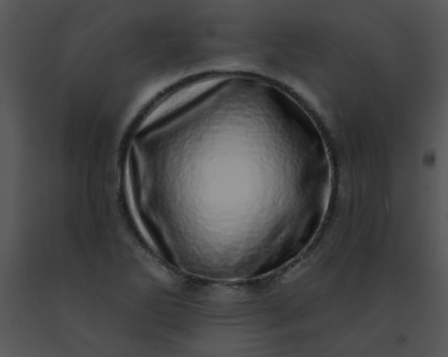 X0000091561270200708311407