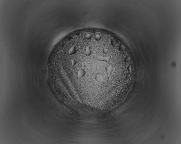 X0000091561271200708311407