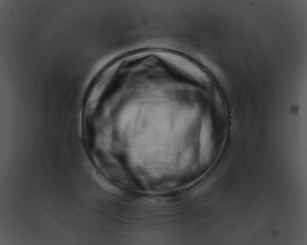 X0000091561272200708311407