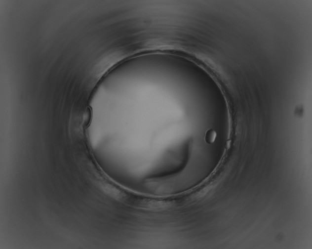 X0000091561273200708311407