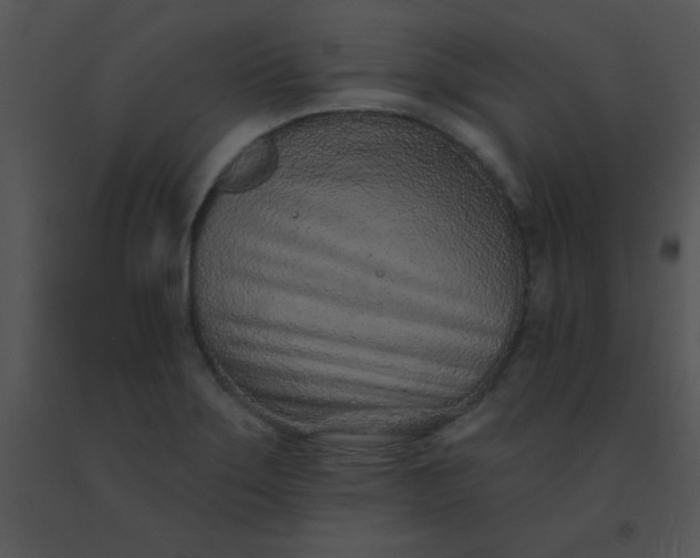 X0000091561275200708311407