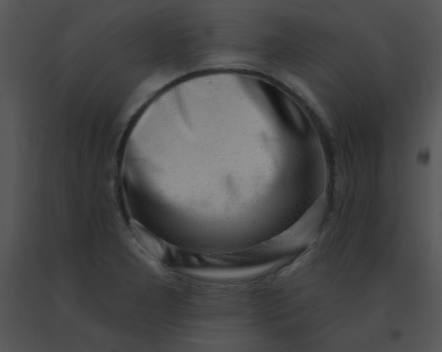 X0000091561277200708311407