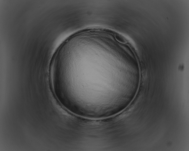 X0000091561279200708311407