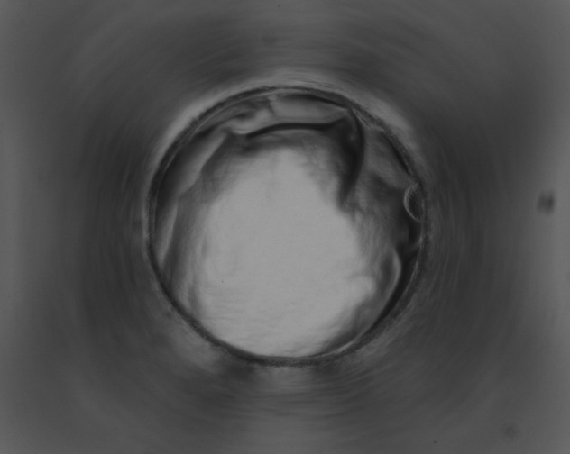 X0000091561280200708311407