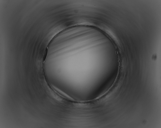 X0000091561281200708311407