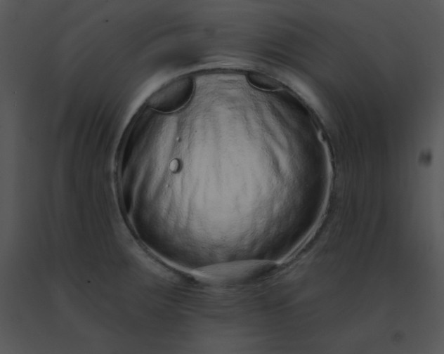 X0000091561283200708311407