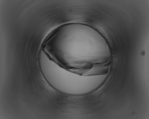 X0000091561284200708311407