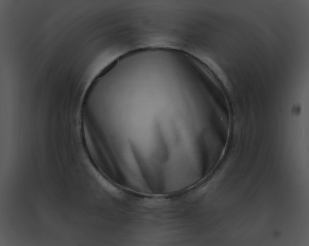 X0000091561285200708311407