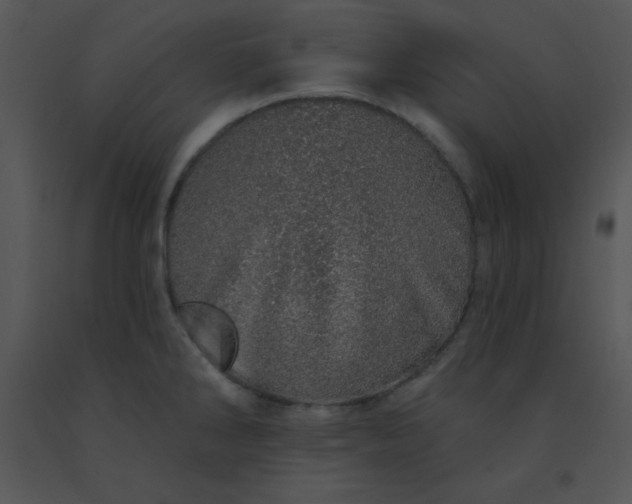 X0000091561286200708311407