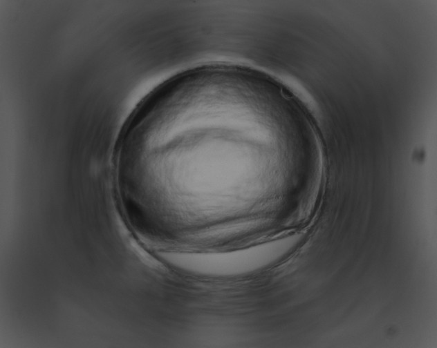 X0000091561287200708311407