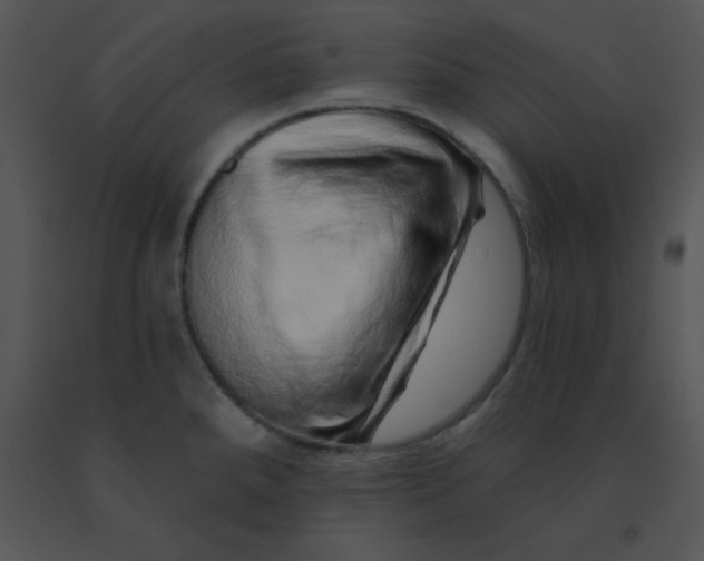 X0000091561288200708311407