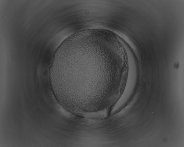 X0000091561289200708311407