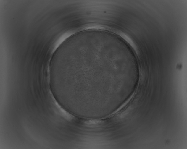 X0000091561290200708311407