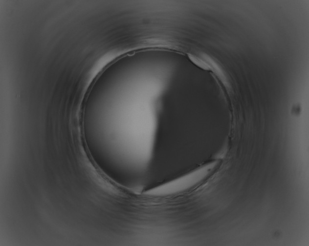 X0000091561291200708311407