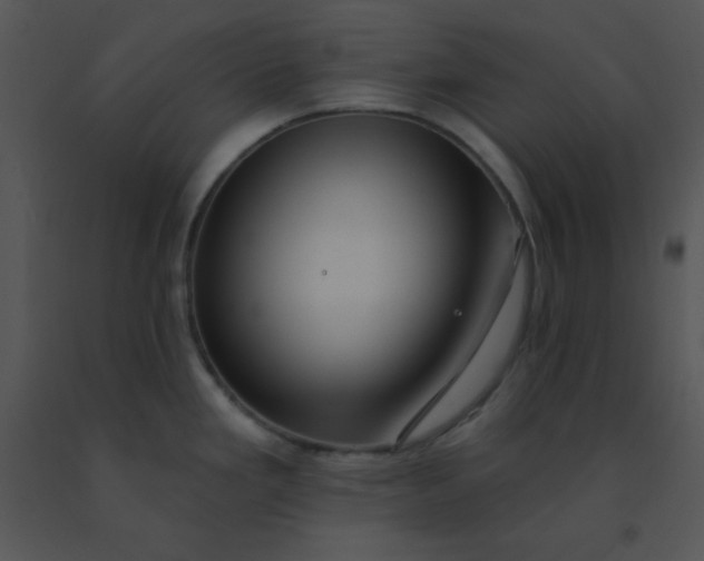 X0000091561293200708311407