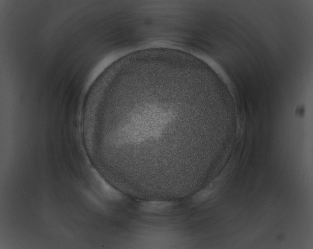 X0000091561294200708311407