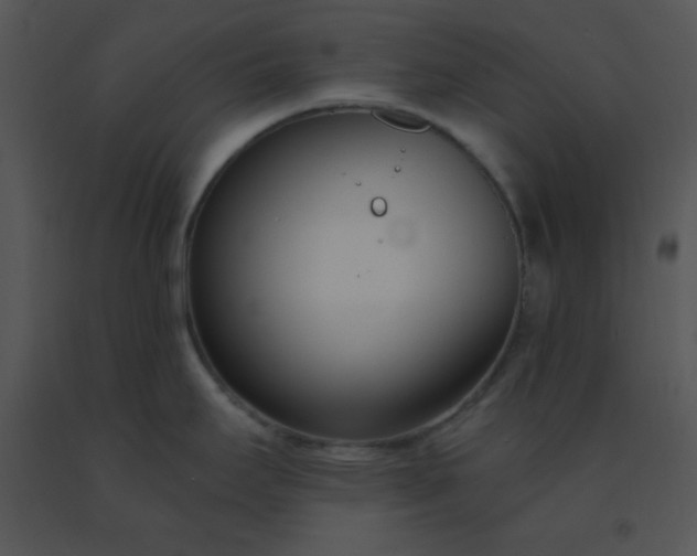 X0000091561295200708311407