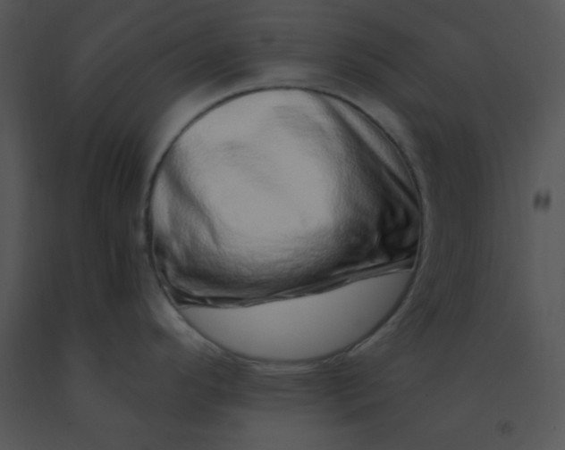 X0000091561296200708311407