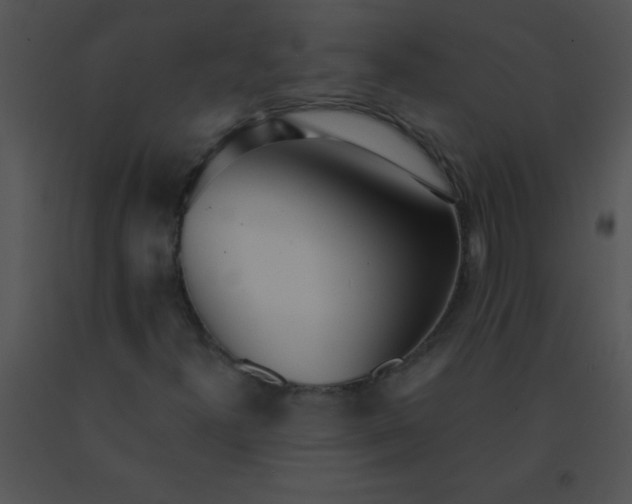 X0000091561300200708311406