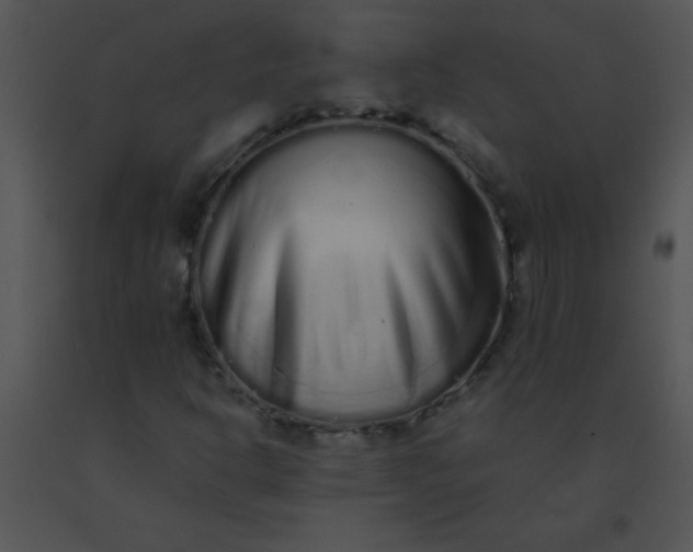 X0000091561302200708311406