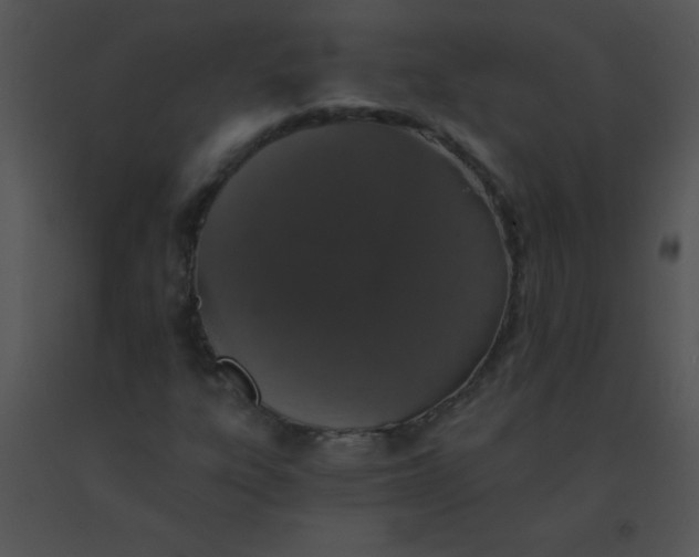 X0000091561303200708311406