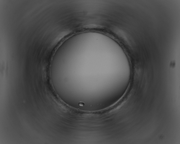 X0000091561305200708311406