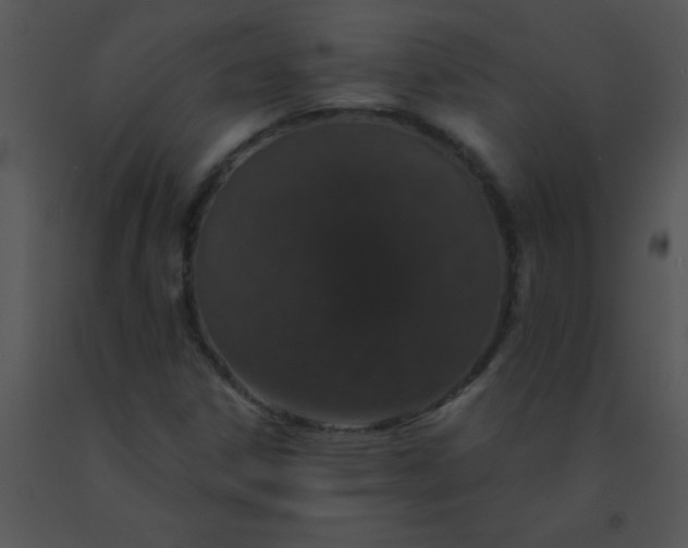 X0000091561306200708311406