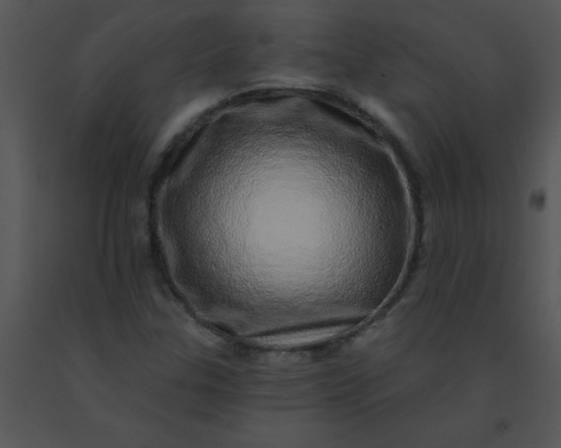 X0000091561307200708311406