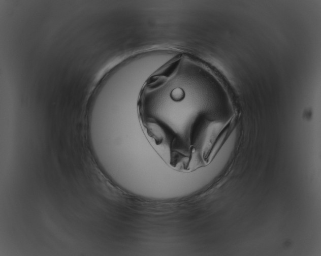 X0000091561308200708311406