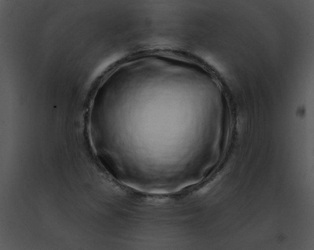 X0000091561309200708311406