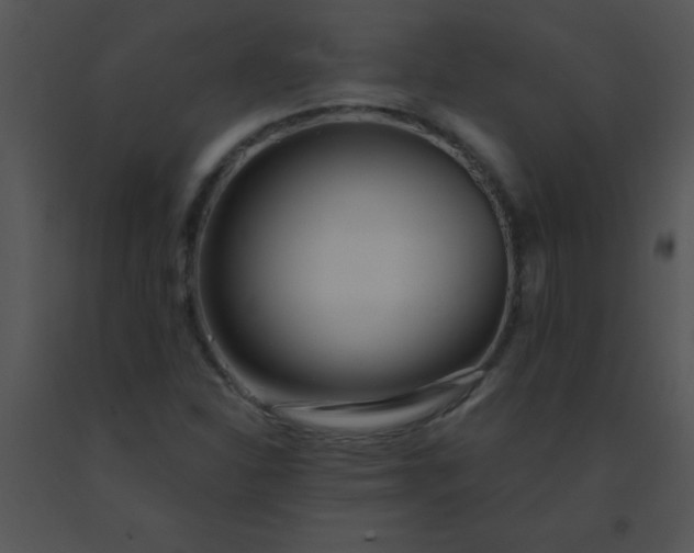 X0000091561310200708311406