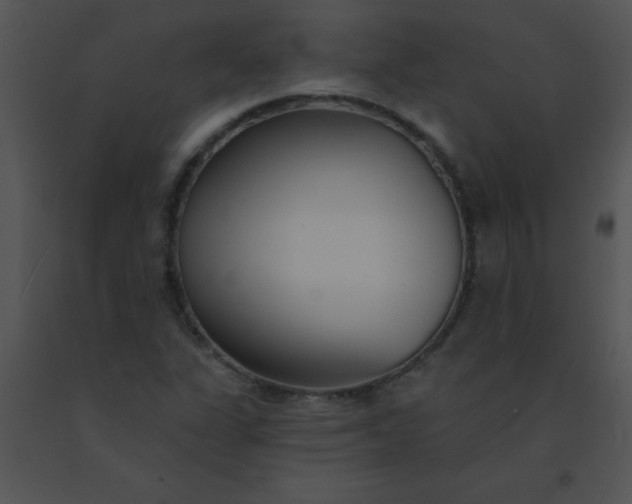 X0000091561311200708311406